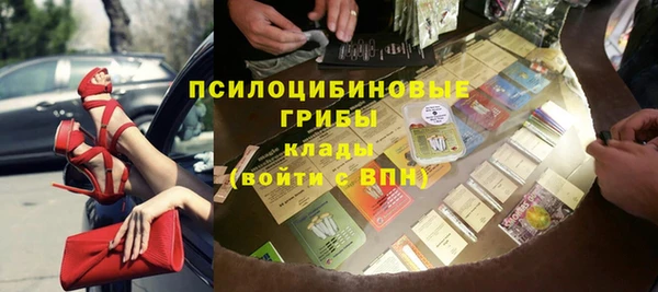 Альфа ПВП Алзамай