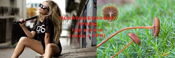 Альфа ПВП Алзамай